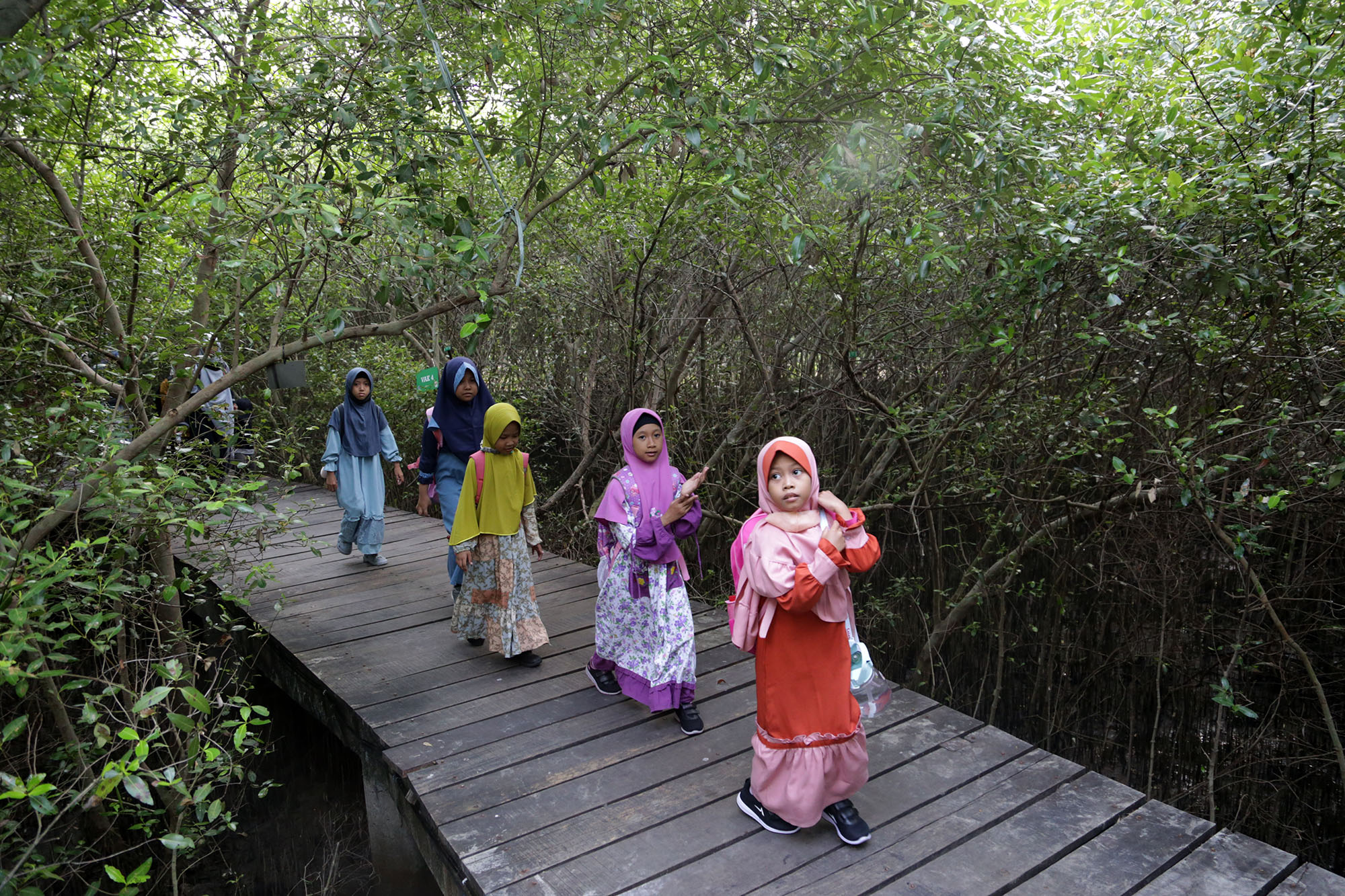 Pemerintah Kota Surabaya Gelar Acara Spesial untuk HUT ke-1 Kebun Raya Mangrove