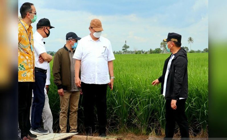 Gubernur Kalteng Sugianto Sabran (kanan) berbincang dengan Menko Perekonomian Airlangga Hartarto saat meninjau kawasan pertanian di Kapuas, Sabtu (27/6/2020). (ANTARA/Muhammad Arif Hidayat)
