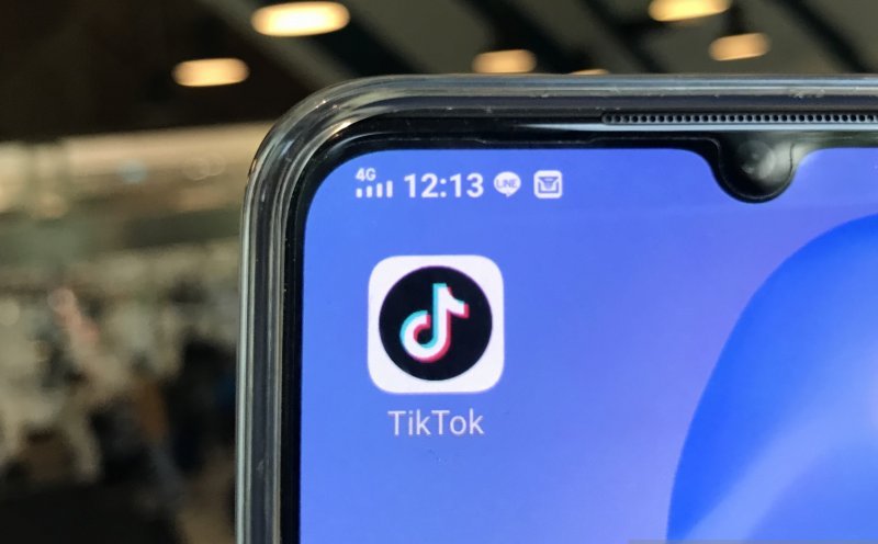 Media TikTok. ant