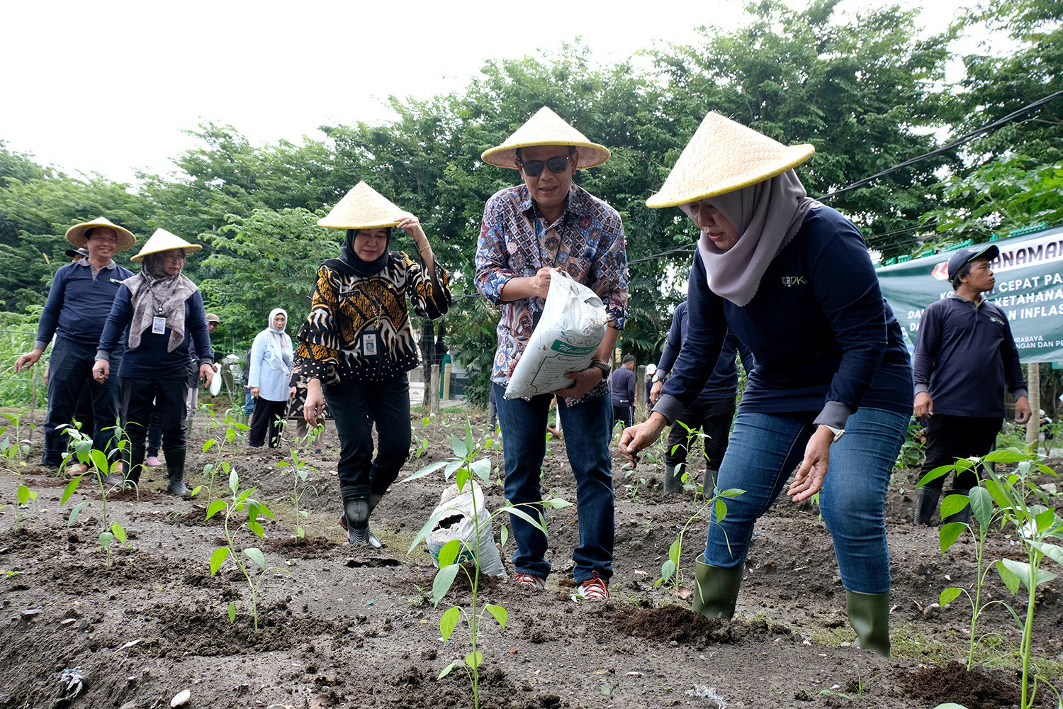 penanaman cabai dan bawang merah oleh kelompok tani dan masyarakat pengelola urban farming di lahan Sub Terminal Agrobisnis (STA) Karah, Kamis (26/1/2023)