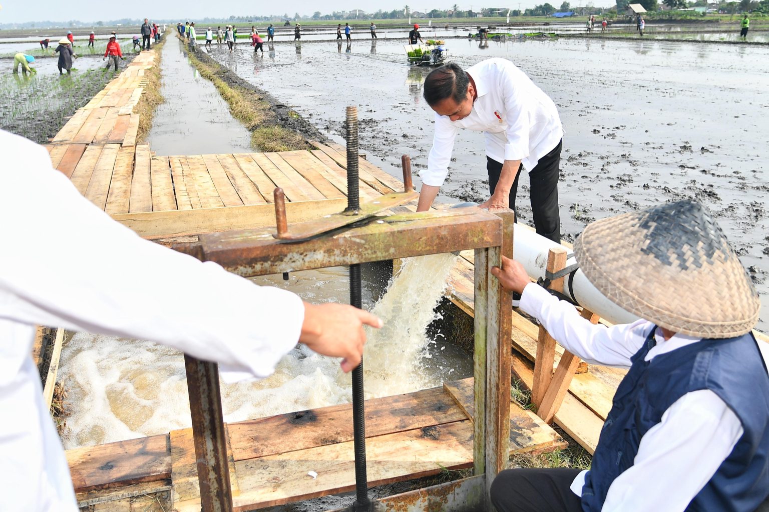 Presiden Joko Widodo melakukan peninjauan terhadap program pemberian bantuan pompa untuk pengairan sawah dan pertanian atau pompanisasi di Desa Bandan Hurip, Kabupaten Lampung Selatan, Provinsi Lampung, Kamis, 11 Juli 2024. 