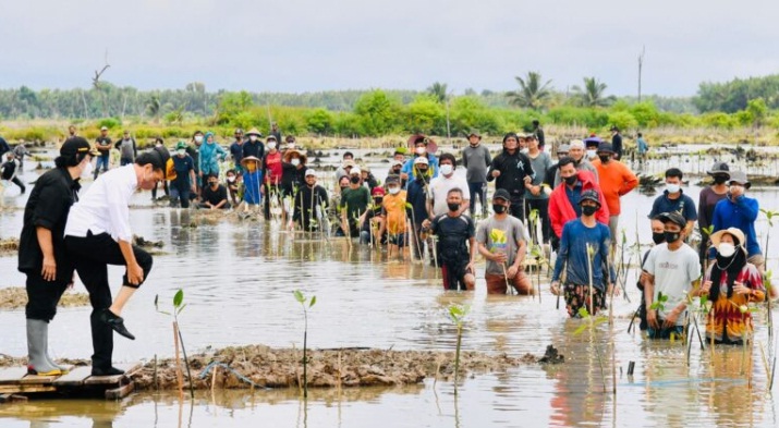 Presiden Joko Widodo menanam mangrove bersama sejumlah duta besar negara sahabat dan masyarakat di Desa Bebatu, Kecamatan Sesayap Hilir, Kabupaten Tana Tidung, Provinsi Kalimantan Utara, pada Selasa, 19 Oktober 2021.