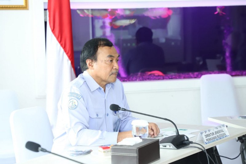 Dirjen Perikanan Budidaya Kementerian Kelautan dan Perikanan Slamet Soebjakto. ANTARA/HO-KKP

