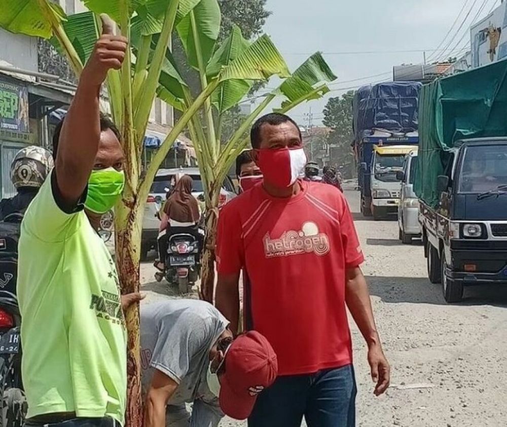 Wow!Pohon Pisang Tumbuh di Jalan Babat Lamongan