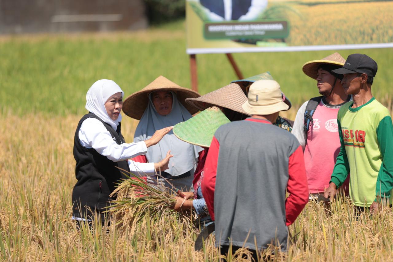Gubernur Khofifah Apresiasi Inovasi Petani yang Kembangkan Pupuk Organik Biosaka