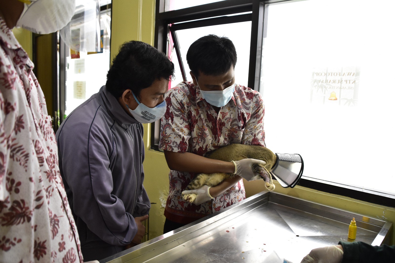 Pemkot Surabaya Sediakan Layanan Klinik Hewan Secara Gratis