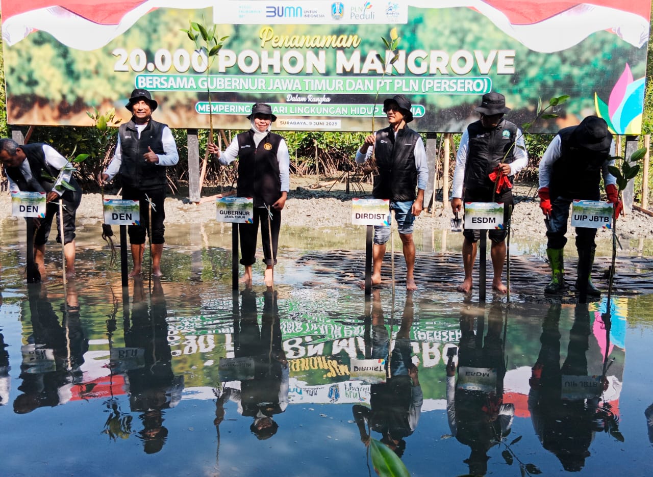 Gubernur Jawa Timur Khofifah Indar Parawansa dan pegiat Mangrove turun langsung dalam gerakan bersama konvoi motor listrik dan menanam 20.000 mangrove di Ekowisata Mangrove Gunung Anyar, Jumat (9/6) pagi.