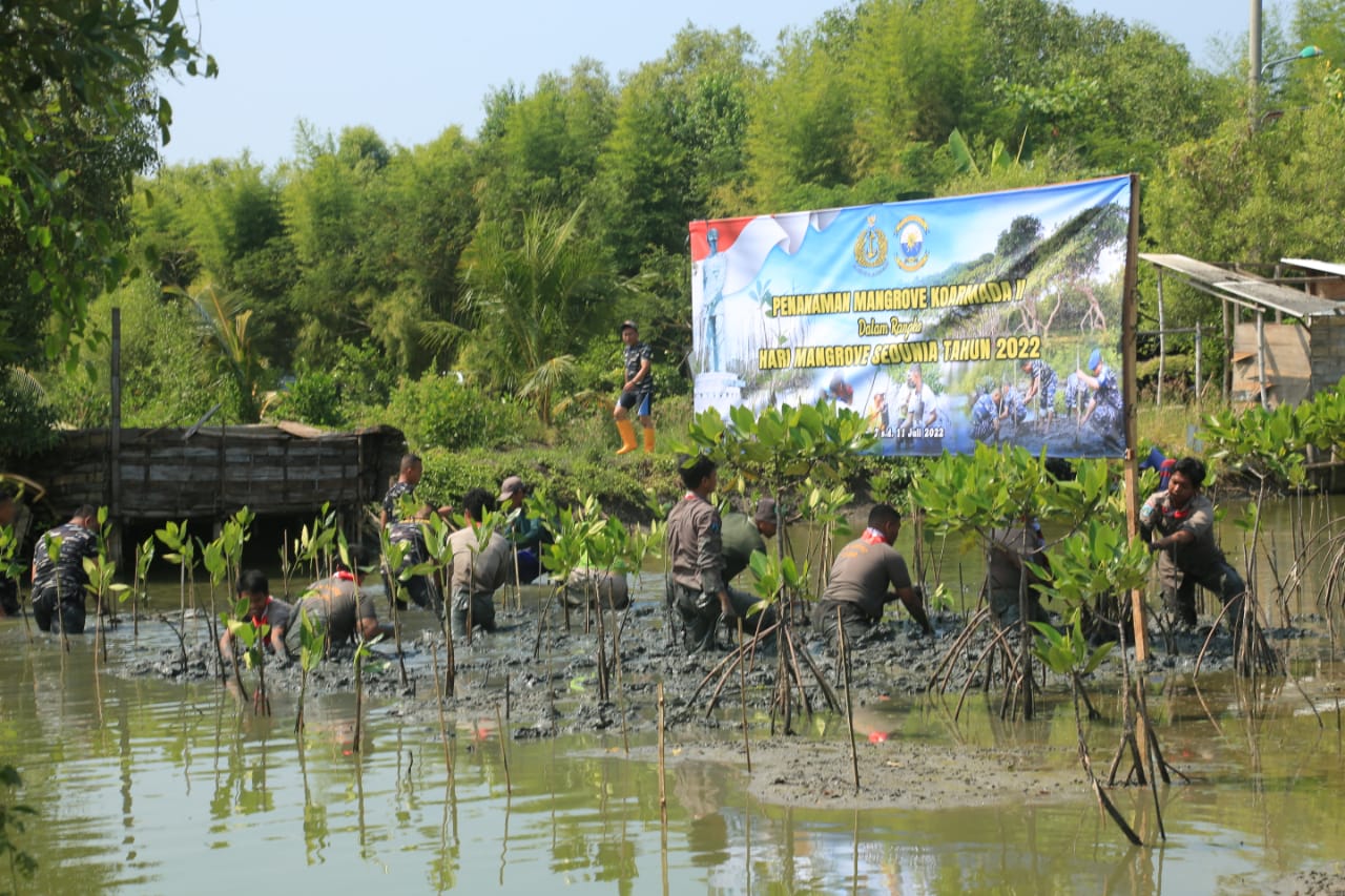 Penanaman mangrove oleh Spotmar Koarmada II