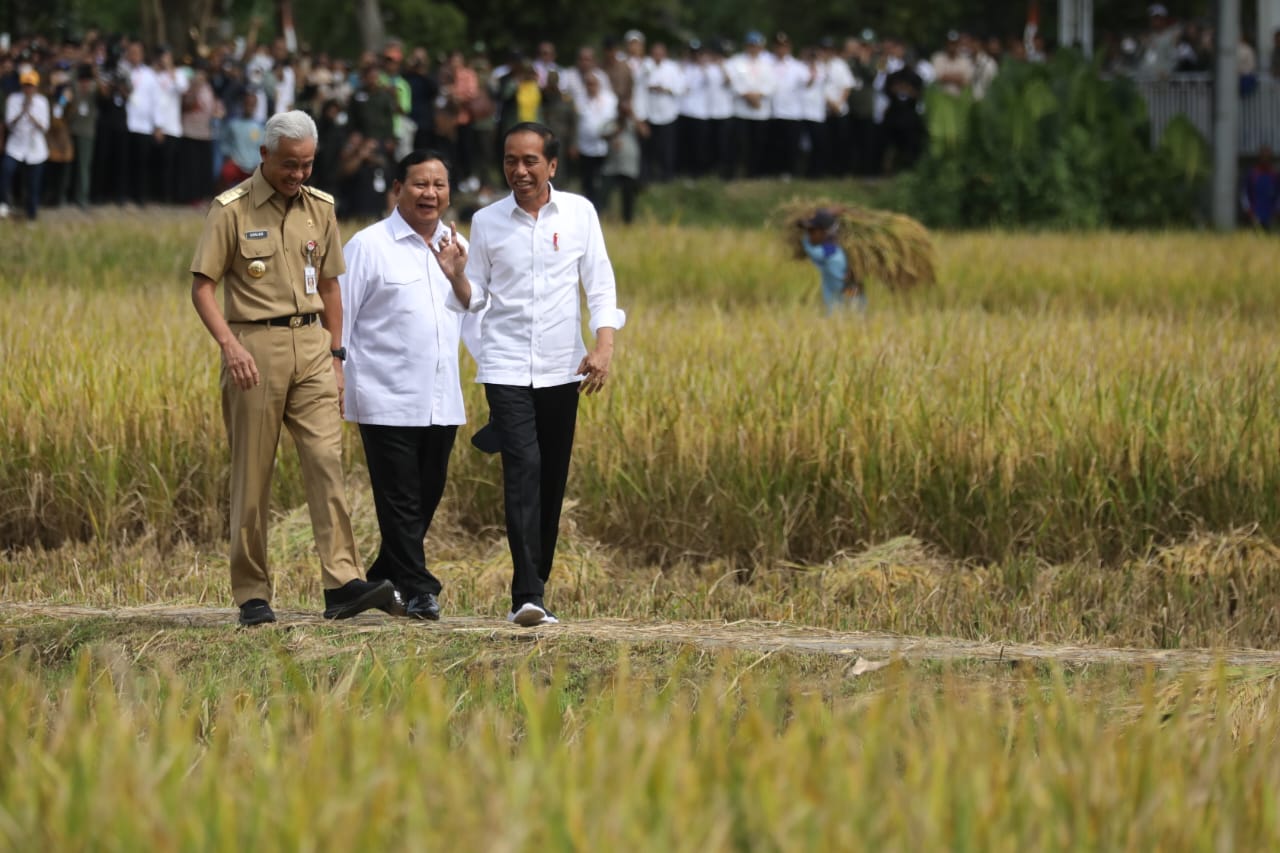 Gubernur Jawa Tengah Ganjar Pranowo mendampingi Presiden RI Joko Widodo meninjau panen raya padi, di Desa Lajer, Kecamatan Ambal, Kabupaten Kebumen, Kamis (9/3/2023).