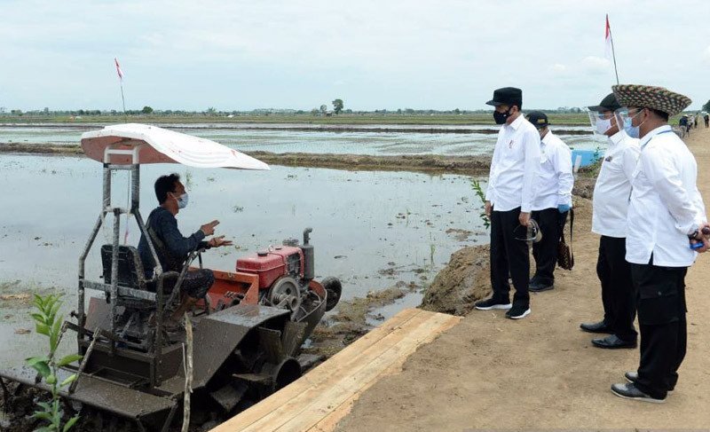 Presiden Joko Widodo (kiri berdiri) meninjau lokasi pengembangan food estate atau lumbung pangan baru di Desa Belanti Siam, Kecamatan Pandih Batu, Kabupaten Pulang Pisau, Provinsi Kalimantan Tengah pada Kamis, (8/10/2020) dengan tetap menerapkan protokol 