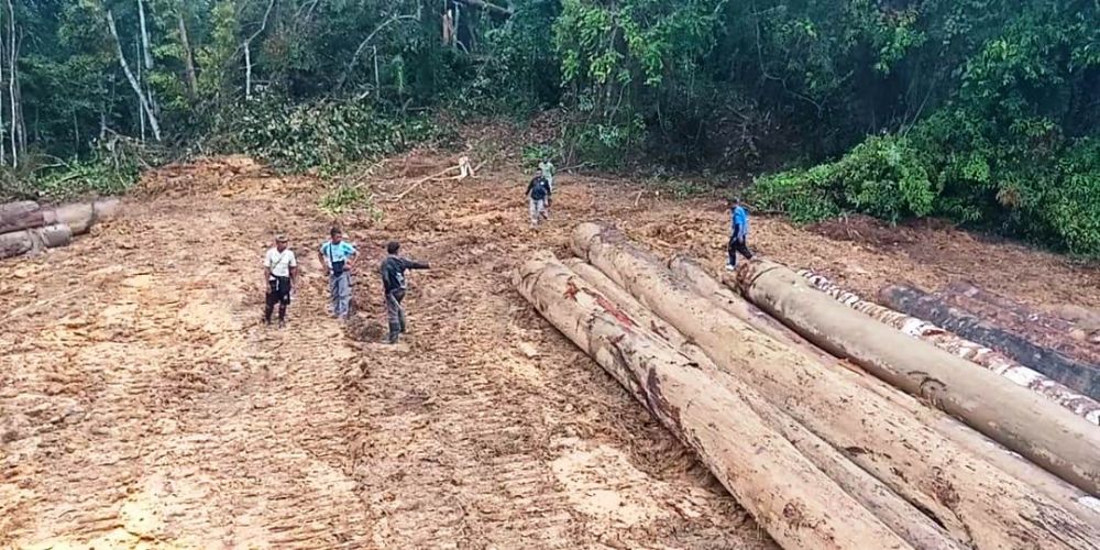  AWAS HUTAN RUSAK: Masyarakat Desa Buya, Kecamatan Mangoli Selatan,  Kabupaten Kepulauan Sula, Maluku Utara (Malut) protes keras terkait aktifitas penebangan kayu yang dilakukan perusahan kayu  CV. Sula Baru. Foto :HMP/ Cho