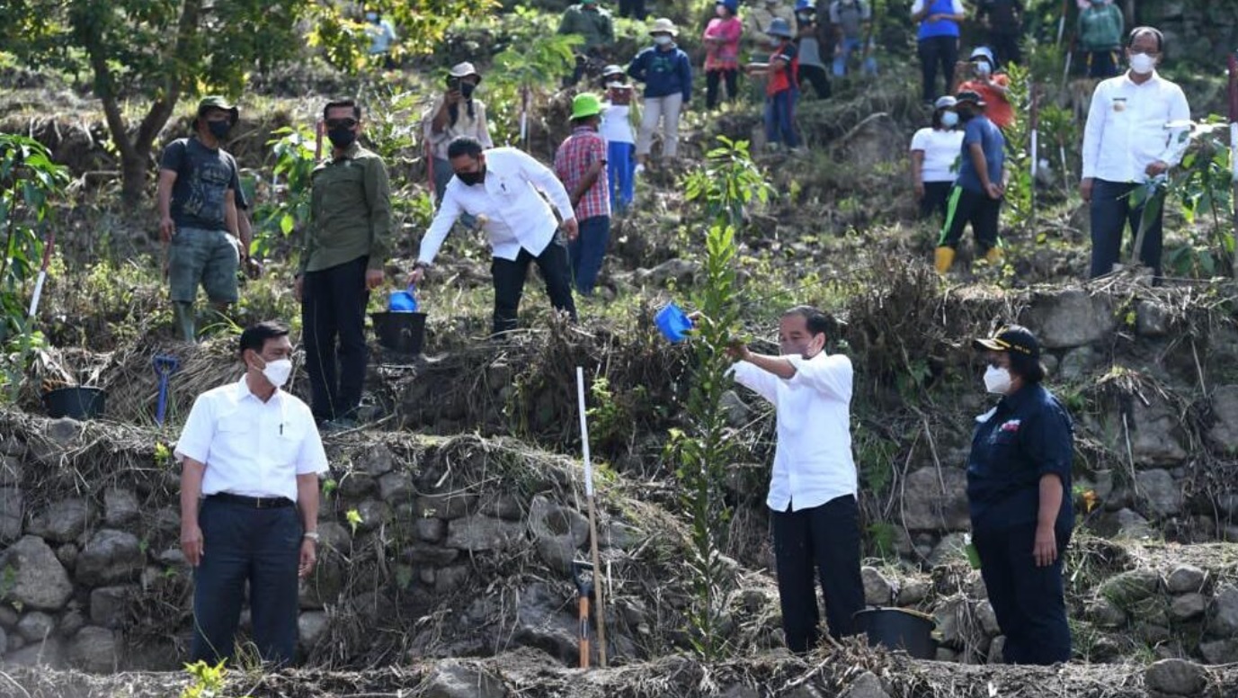 Presiden Joko Widodo melakukan kegiatan penanaman pohon bersama masyarakat di Desa Simangulampe, Kecamatan Bakti Raja, Kabupaten Humbang Hasundutan, Provinsi Sumatera Utara, pada Kamis, 3 Februari 2022. Foto: BPMI Setpres/Lukas
