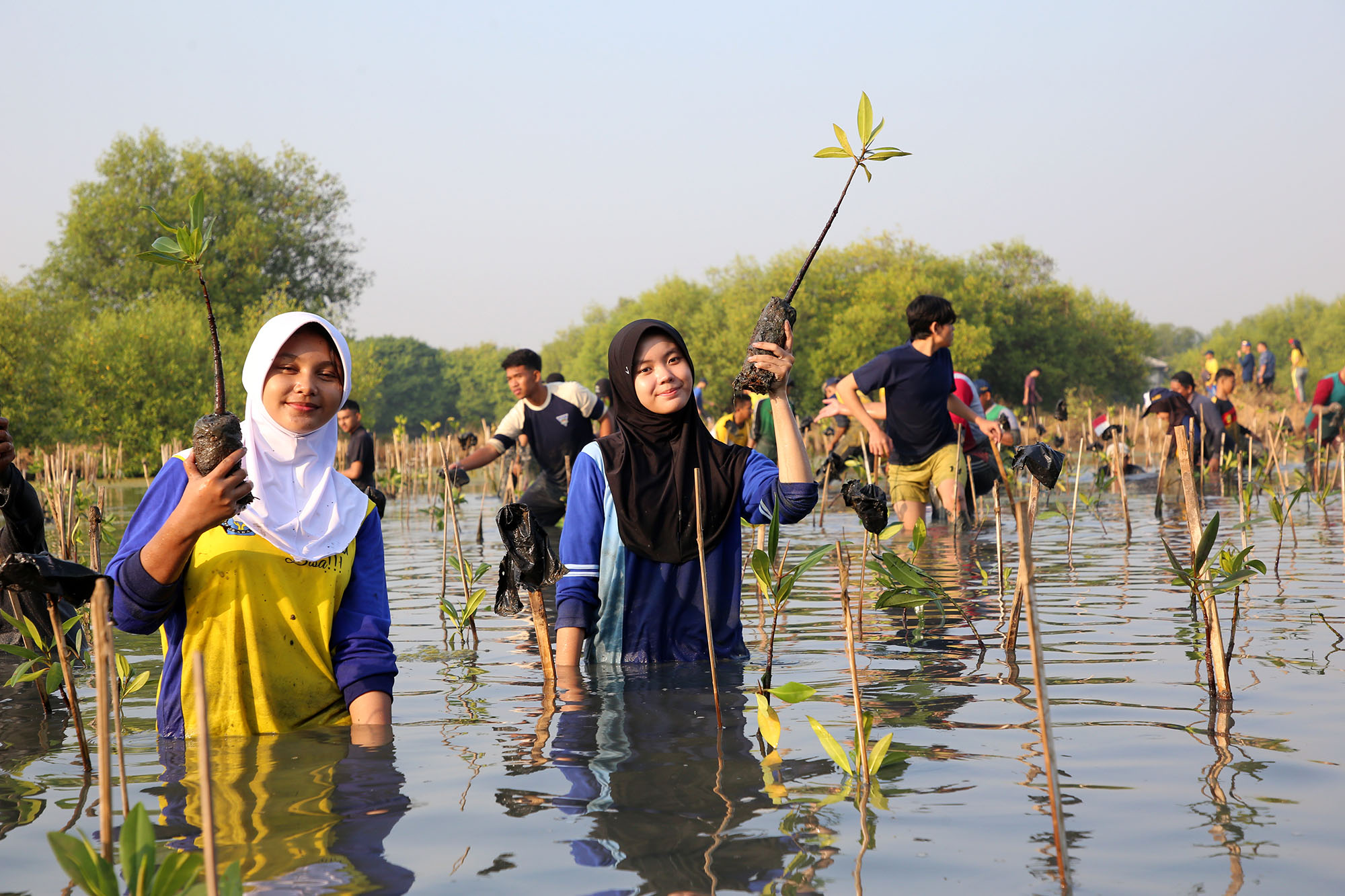 sekitar 600 peserta yang terdiri dari pelajar, pihak swasta, pemerhati lingkungan, media massa, dan jajaran di lingkup Pemkot Surabaya melakukan penanaman 3000 bibit mangrove di Kebun Raya Mangrove Gunung Anyar, Surabay