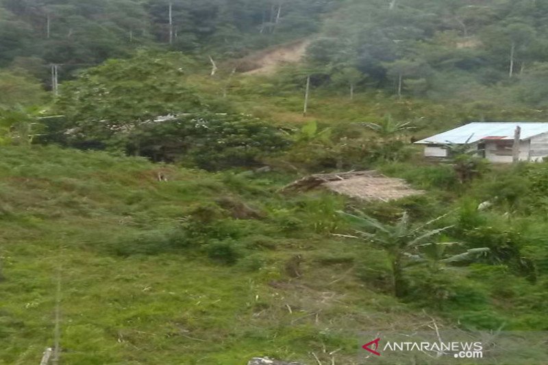 Lokasi permukiman warga transmigrasi Dusun Lewono, Desa Lembantongoa, Kecamatan Palolo, Kabupaten Sigi yang diserang teroris di duga kelompok Mujahidin Indonesia Timur MIT) Poso. Peristiwa yang terjadi Jumat 26/11-2020 menawaskan empat warga transmigrasi.