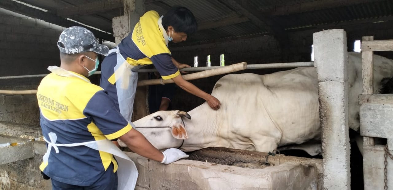 Pemerintah Provinsi Jawa Tengah mendistribusikan 21.000 dosis vaksin Anthrax di Wonogiri, Klaten dan Sukoharjo. Hal itu dilakukan untuk mengantisipasi penyebaran Anthrax, yang terjadi di Gunung Kidul dan Sleman, baru-baru ini.
